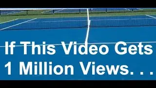 If This Video Gets 1 Million Views. . .