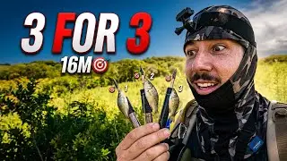 Insane Accuracy Fishing with the PCP Ca&ccedil;adora | 3 Shots, 3 Hits at 16m 🎯🐟