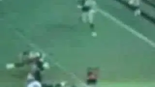 49ers Keith Lewis Hit Stick