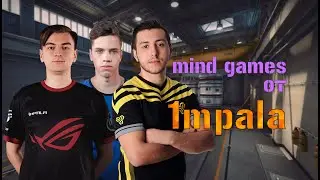 Streamers Highlights | 1mpala на CIS pro Division