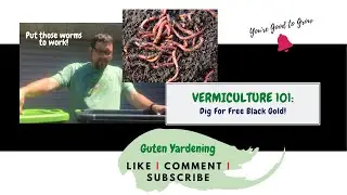 Vermiculture 101 - Easy DIY Red Wigglers Worm Farm | Dig for free black gold! | Guten Yardening