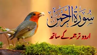 Surah Rahman Full Tilawat with Urdu & English Translation | Heart Touching Quran Recitation