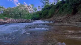 4K-HDR | Natural Stream in Tranquil Setting for Calm Working Hours, Meditation and Soothing Sleep