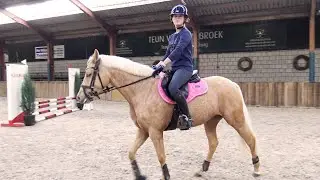 Blondie mag niet stoppen * Hart voor Paarden *