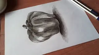 Easy Realistic Drawing Sketch Of A Capsicum.