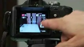 Basic Digital Camera Operation : Digital Camera LCD Screen