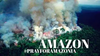 AMAZON FOREST FIRE | WHAT IS AMAZON FOREST FOR US? #PRAYFORAMAZONIA