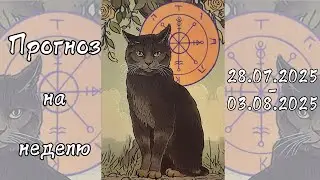 The Week of 28.07.2025-03.08.2025 ✨✨✨ TAROT  INSIGHTS_28.07-03.08.2025_ALL HOROSCOPE SIGNS 💕✨💕✨💕