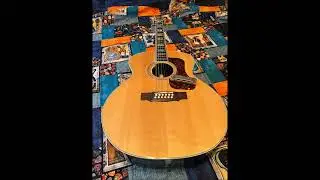 Today will be alright  -  Layered Improv #12stringguitar #improvisation #harmonica