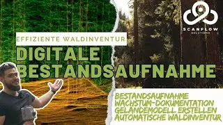 Mit dem Laserscanner durch den Wald | Effizientes Erfassen von räumlichen Daten | Waldwirtschaft
