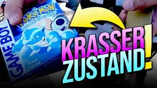 Pokémon kann richtig geil aussehen! ❤️ Neues vom Flohmarkt #182