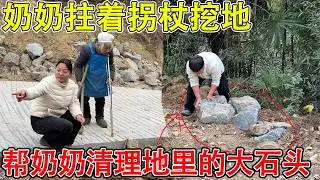 村里的奶奶挖土种地，三天只挖了一小块  拄着拐杖也要挖，帮忙把大石块清理出来  住在农村就要自食其力！