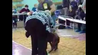 MOV04096