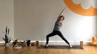 Fly Me to the Moon ~ Vinyasa ~ Jan Benn