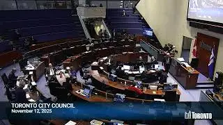 City Council - November 12, 2025 (Evening Session)