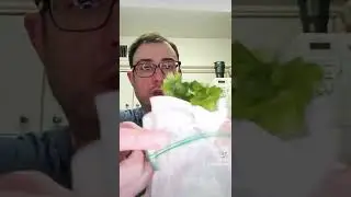 cilantro hack 😉