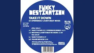 Take It Down (LTJ Xperience Remix)