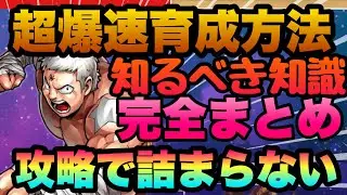 【キン肉マン極タッグ乱舞】爆速最高率育成!!!!戦力ガン上げ!!!ストーリーハード迄制覇したから解る詰まらない育成ルート