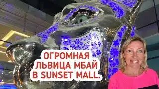 Дубай 2021. Львица Мбай (Mbaye) в торговом центре Sunset Mall. Что посмотреть в Дубае?