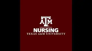 Texas A&M Nursing - Health Promotion Project (2024)