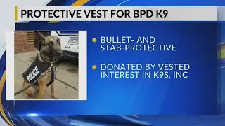 Bismarck PD's K9 Echo has received a body armor donation