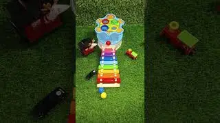 Top ASMR Expert Reveals Soothing Marble Run Sounds for Mind Relaxation