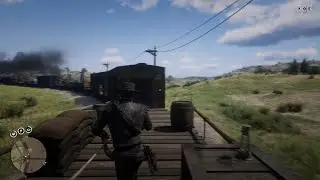 RDR2 Online-Train Fight