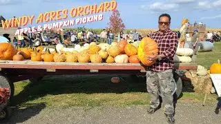 Pick Your Own Apples & Pumpkins at Windy Acres Orchard