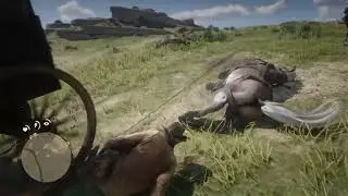 Ah wagons in RDR2 