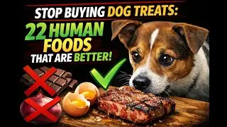 22 Human Foods That Can Help Your Dog Live Healthier & Longer