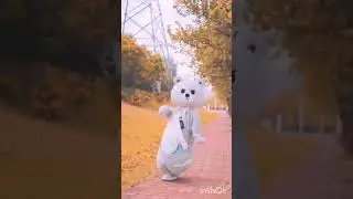 cute bear , fantasy world#funny #cute #viralshort #trendingshorts