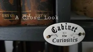 My Cabinet of Curiosities Explained 