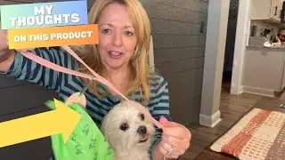 Обзор подвески-браслета SweetPaws Bag Charm Duo &ndash; обновление для прогулок с собаками без помощи р...