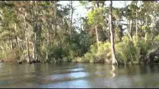 MadisonvilleToManchac.mp4