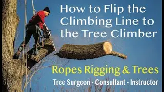 How to Flip the Lowering Line to the Tree Climber