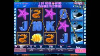 Great Blue Slot - ULTRA BIG WIN!