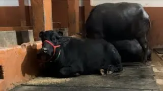 🧐🧐आइये शांति से करते हैं कुछ बातचीत 😎😎