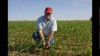 Texas Corn on Drip Irrigation - Part 1