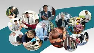 Navigate the future with Pathway2Careers (P2C) Career Explorer
