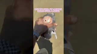 Pov: Ты крадешь мою LABUBU в Roblox #шорты