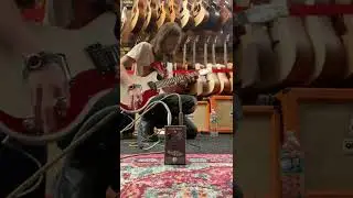 На этот раз вокруг TC Electronics Rusty Fuzz #guitartok #fuzz #tcelectronics