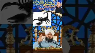 Bichhu ka dunk #shorts #video viral #islam