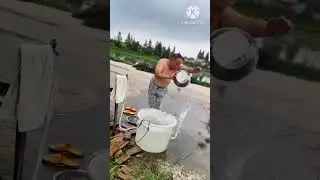 Hasis video ।। #shortvideo #shorts #short