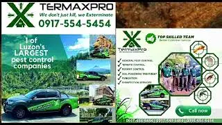 Looking for Termite Exterminator and Pest Control Service Company in the Philippines? Contact us!