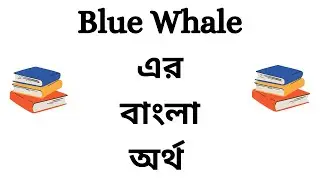 Blue Whale Meaning in Bengali | Blue Whale Bangla Meaning | Blue Whale Ortho Ki