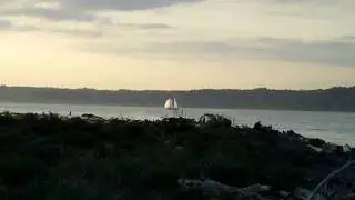 PugetSound