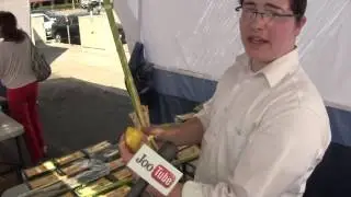 What do the lulav and etrog mean for Sukkot (Succos) / Feast of Tabernacles holiday?