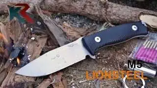 LionSteel M5