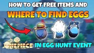 All easter egg locations in multiverse sea | AOPG