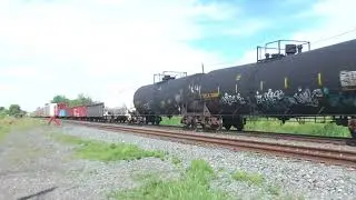 CP#118/ CP#8753, CP#8126 / AT TRULLS RD: